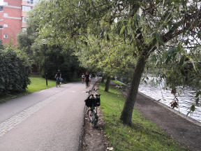 Photo 76333