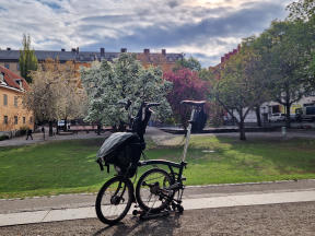 Photo 81842